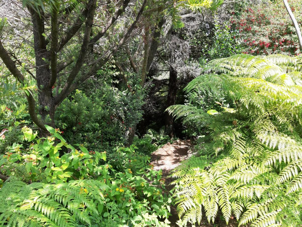 Eco Cabana Puerto Varas Exteriér fotografie